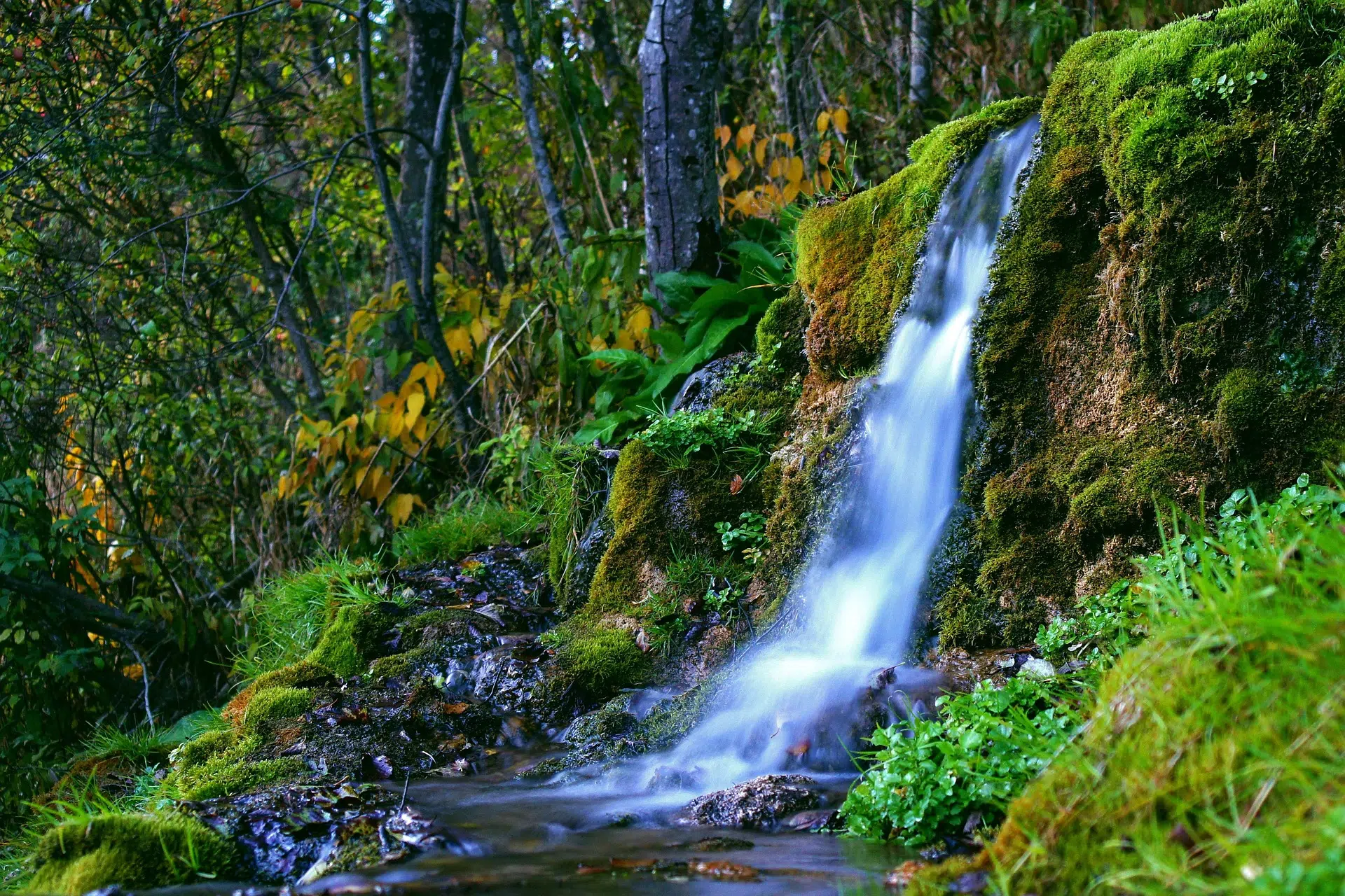 Natural waterfall surrounded by vegetation, symbolizing sustainable water management in natural and urban settings.