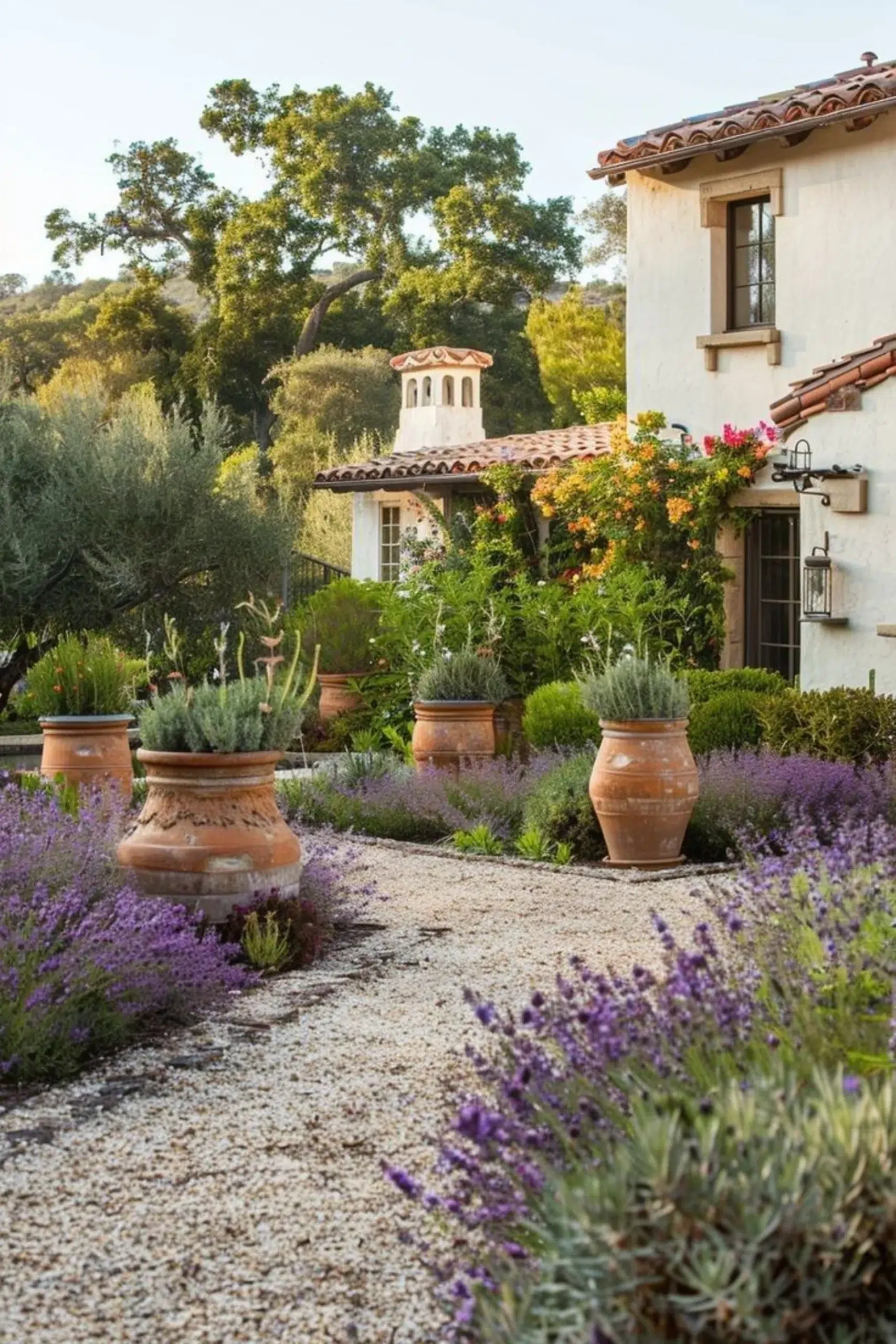 Lavender garden with terracotta jars in a Mediterranean home designed with sensory residential architecture