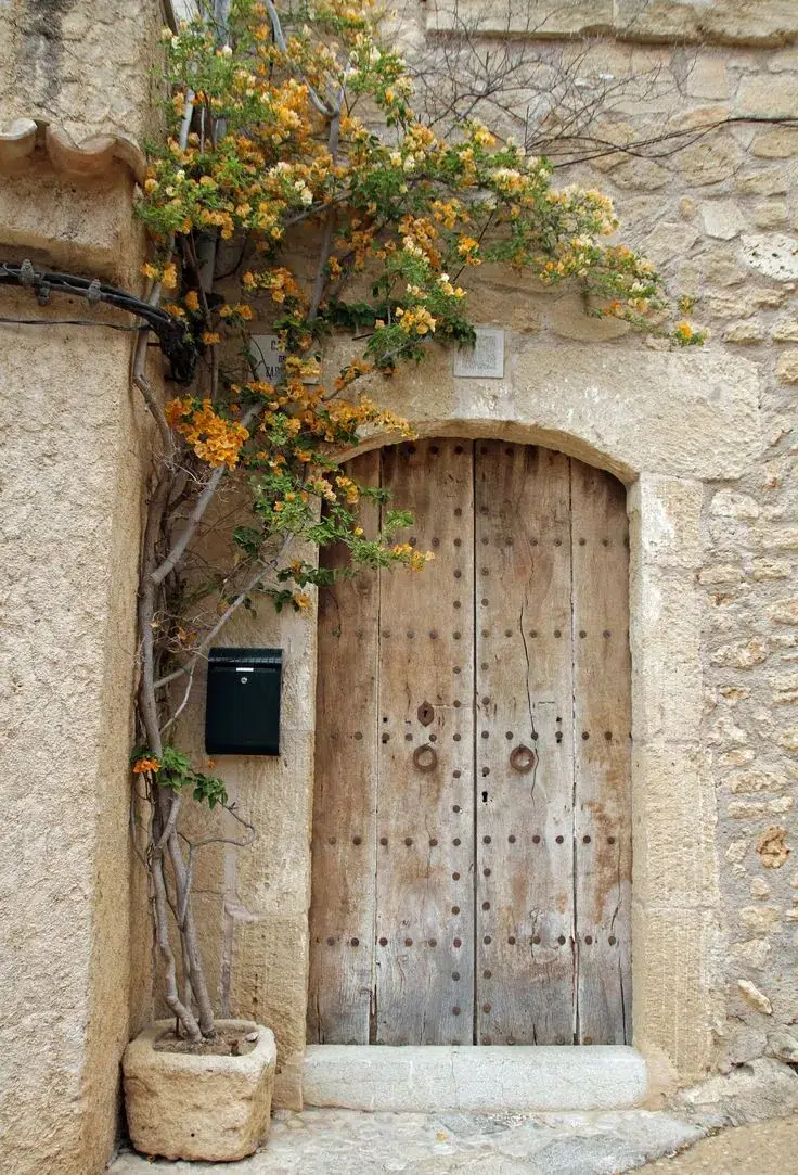 Rustic wooden door with iron studs in a stone façade, surrounded by flowering bougainvillea, typical of vernacular housing architecture in Alicante.