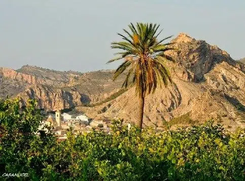 Panoramic view of Ricote Valley in Murcia, example of rural setting for building in Murcia's rural districts