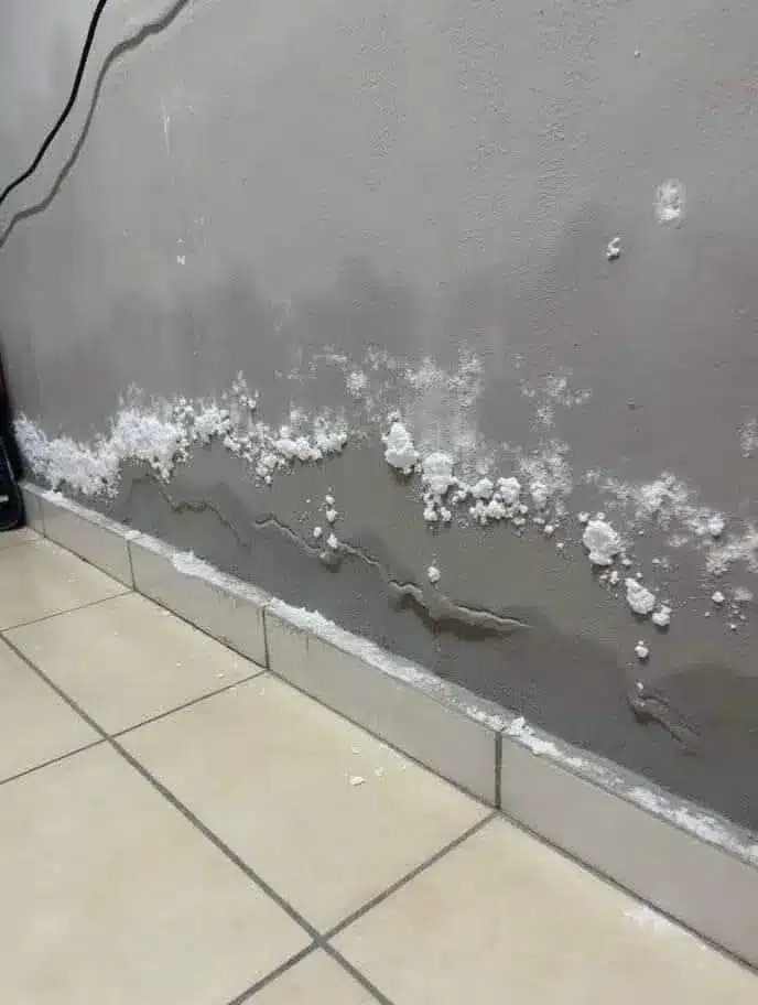 Efflorescence from rising damp at skirting; improved by ventilation plus specific construction measures (drainage, barriers).